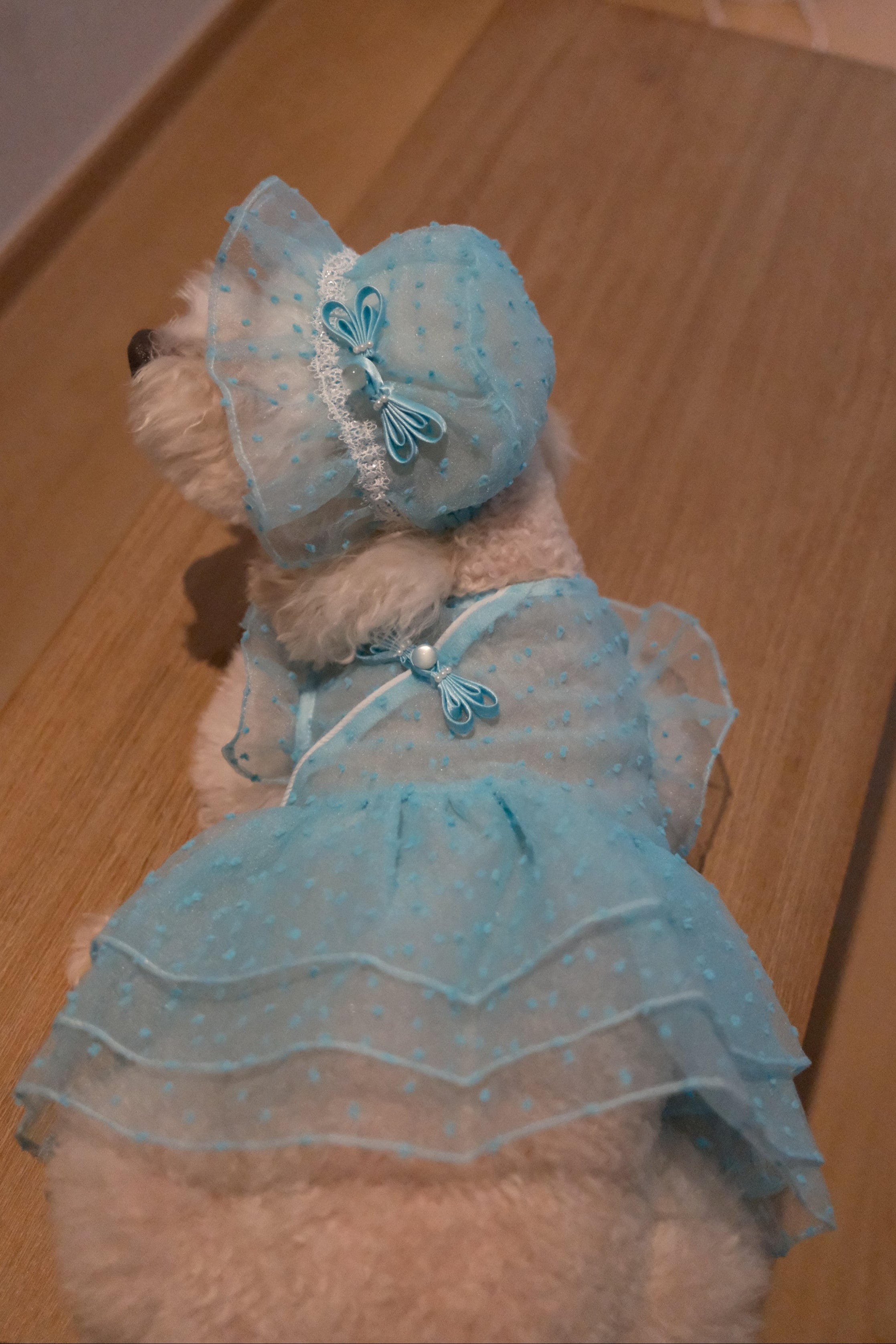 Starlight Tulle Collection