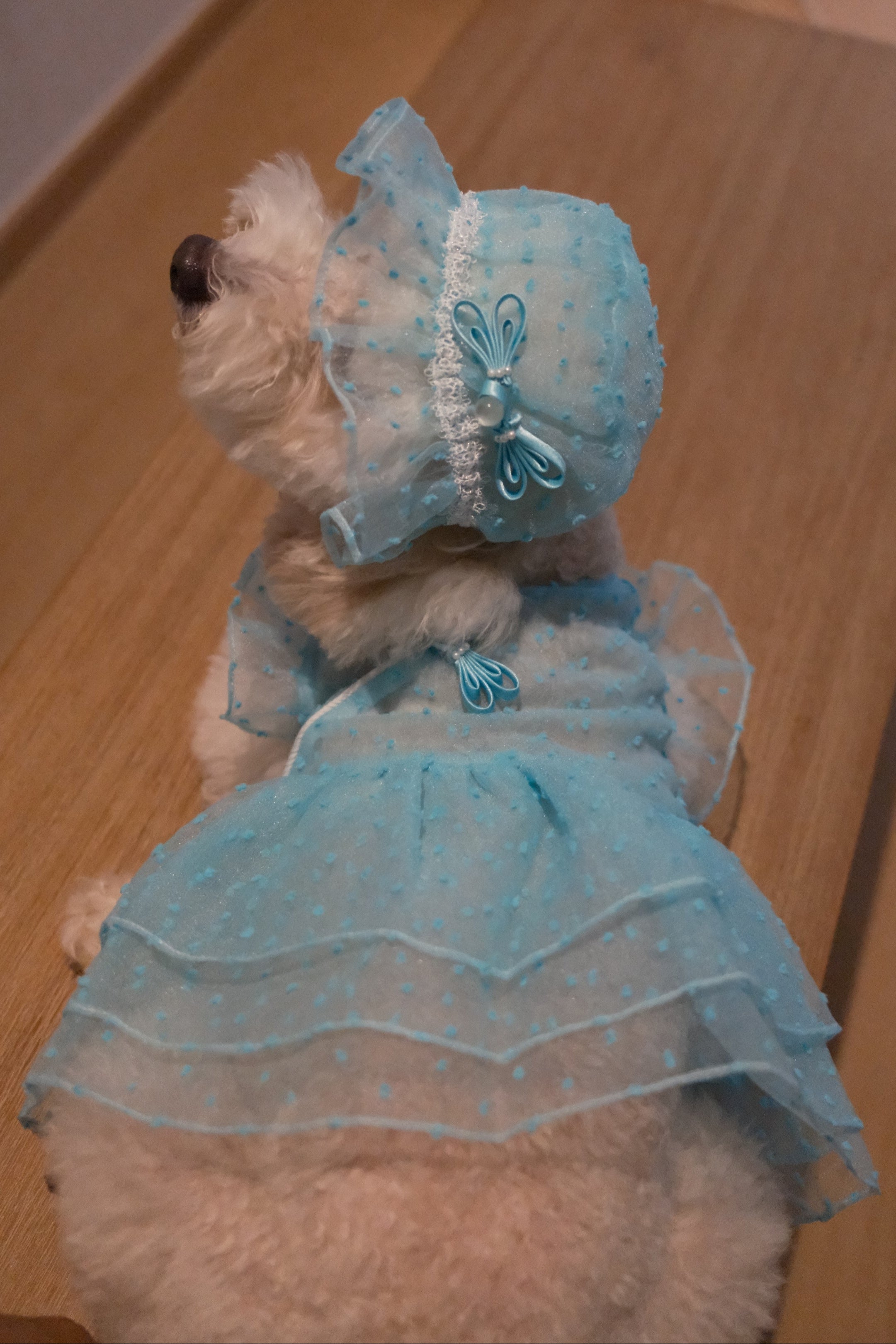 Starlight Tulle Collection