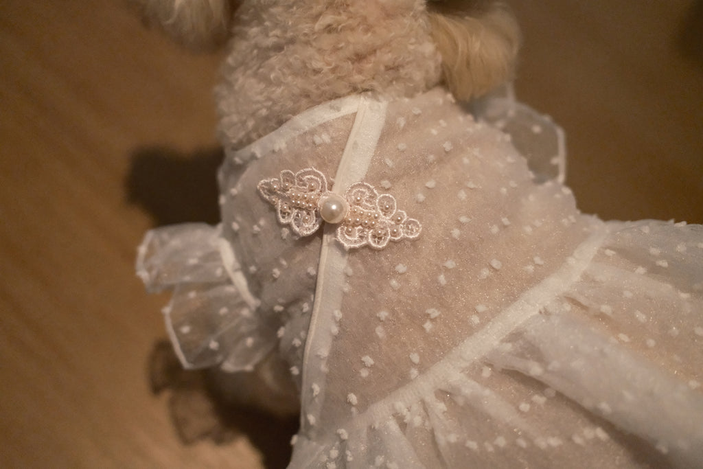 Starlight Tulle Collection