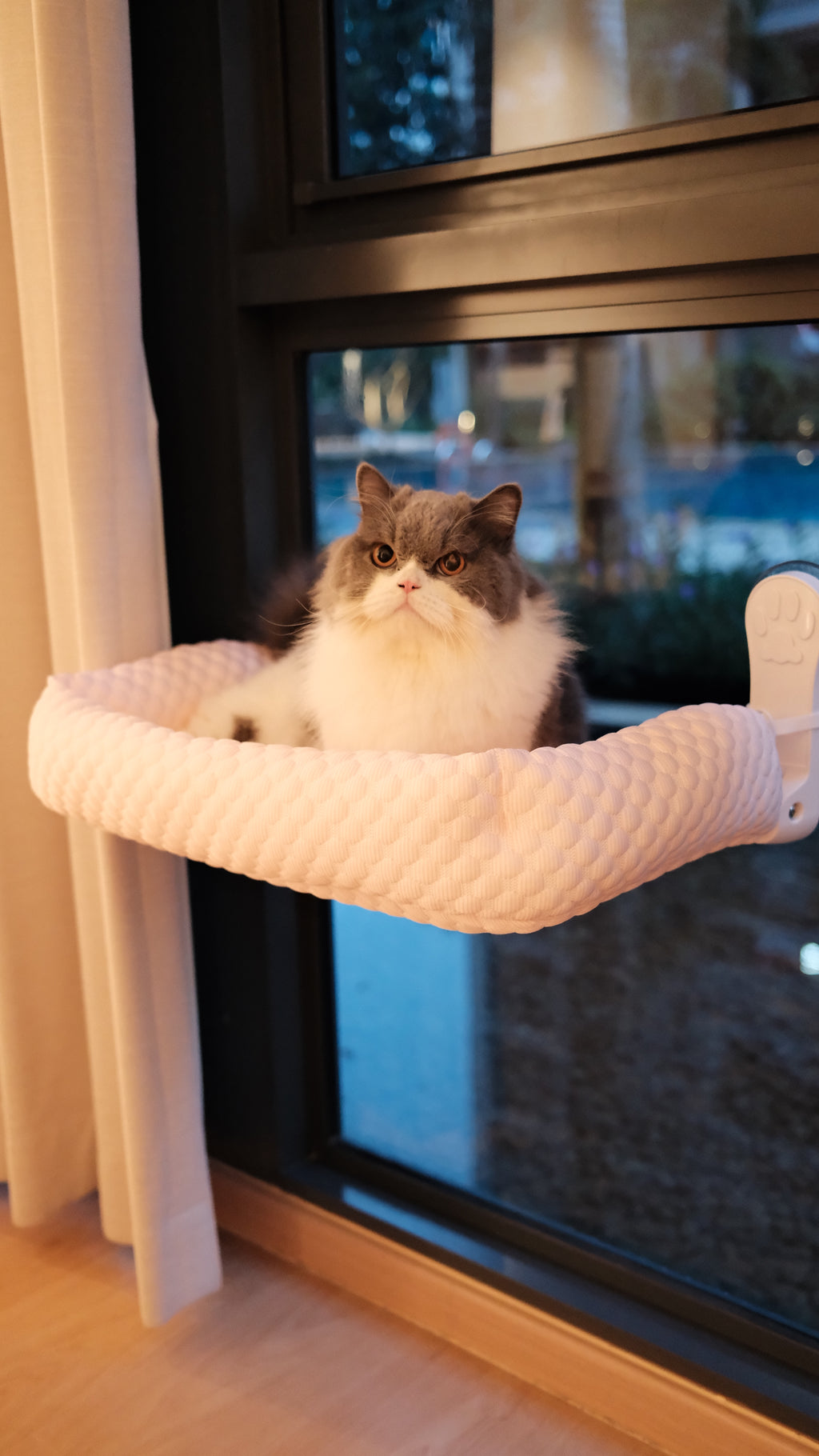 Window Perch | Cooling Window Hammock