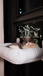 Window Perch | Cooling Window Hammock