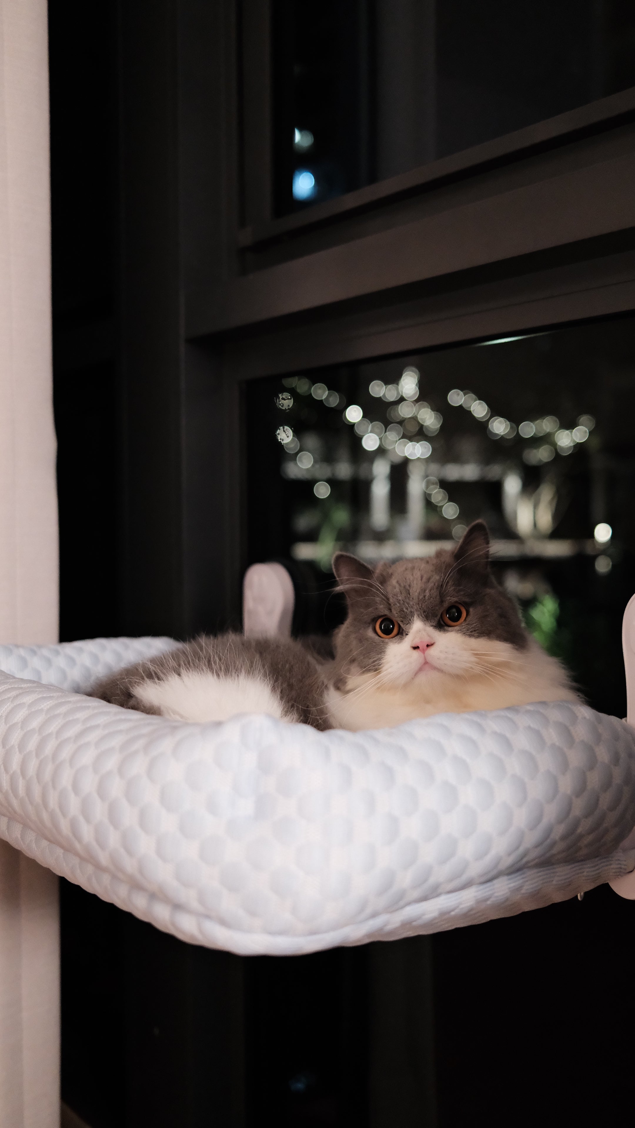 Window Perch | Cooling Window Hammock
