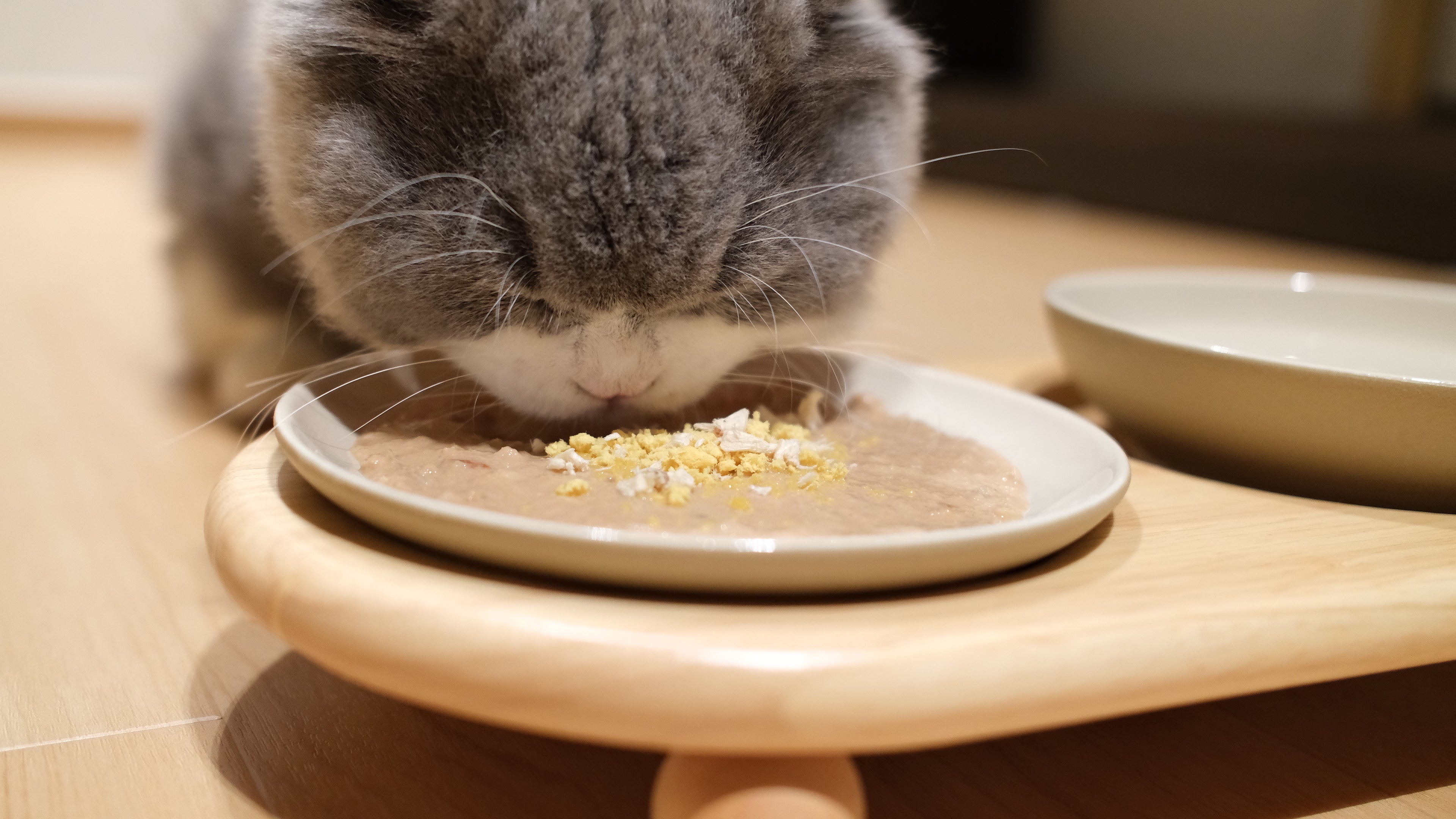 Pawhaus Tableware - Twin Stand Collection
