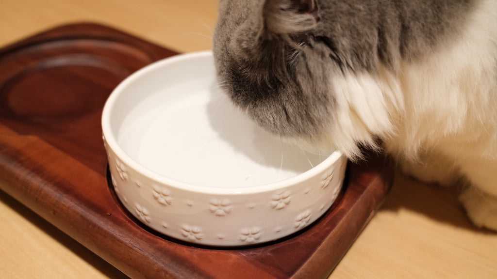 Pawhaus Tableware - Twin Stand Collection