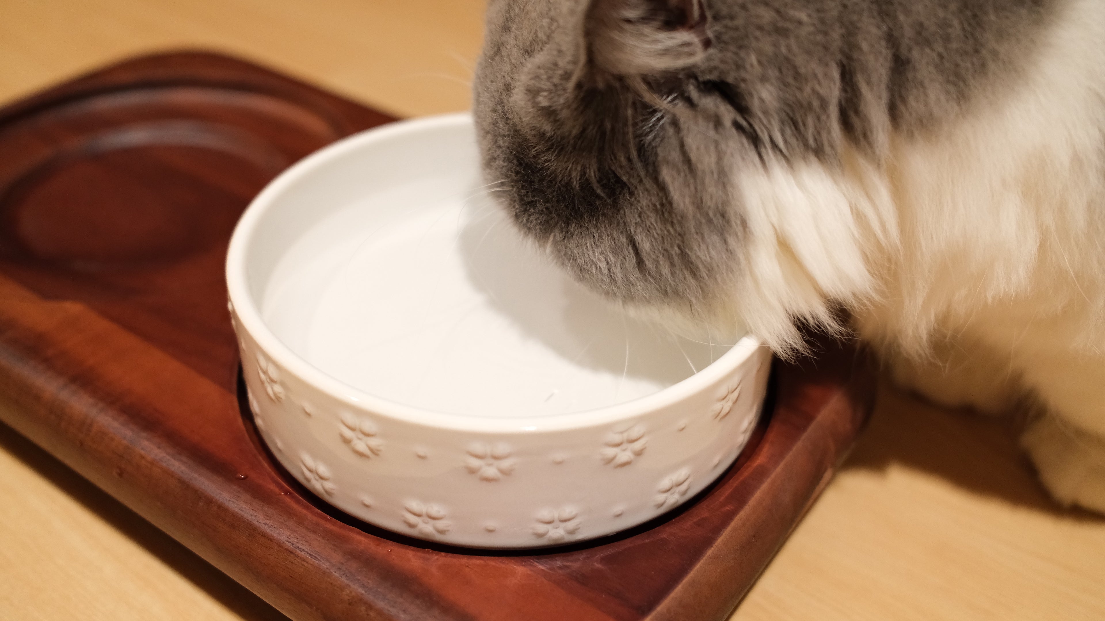 Pawhaus Tableware - Twin Stand Collection