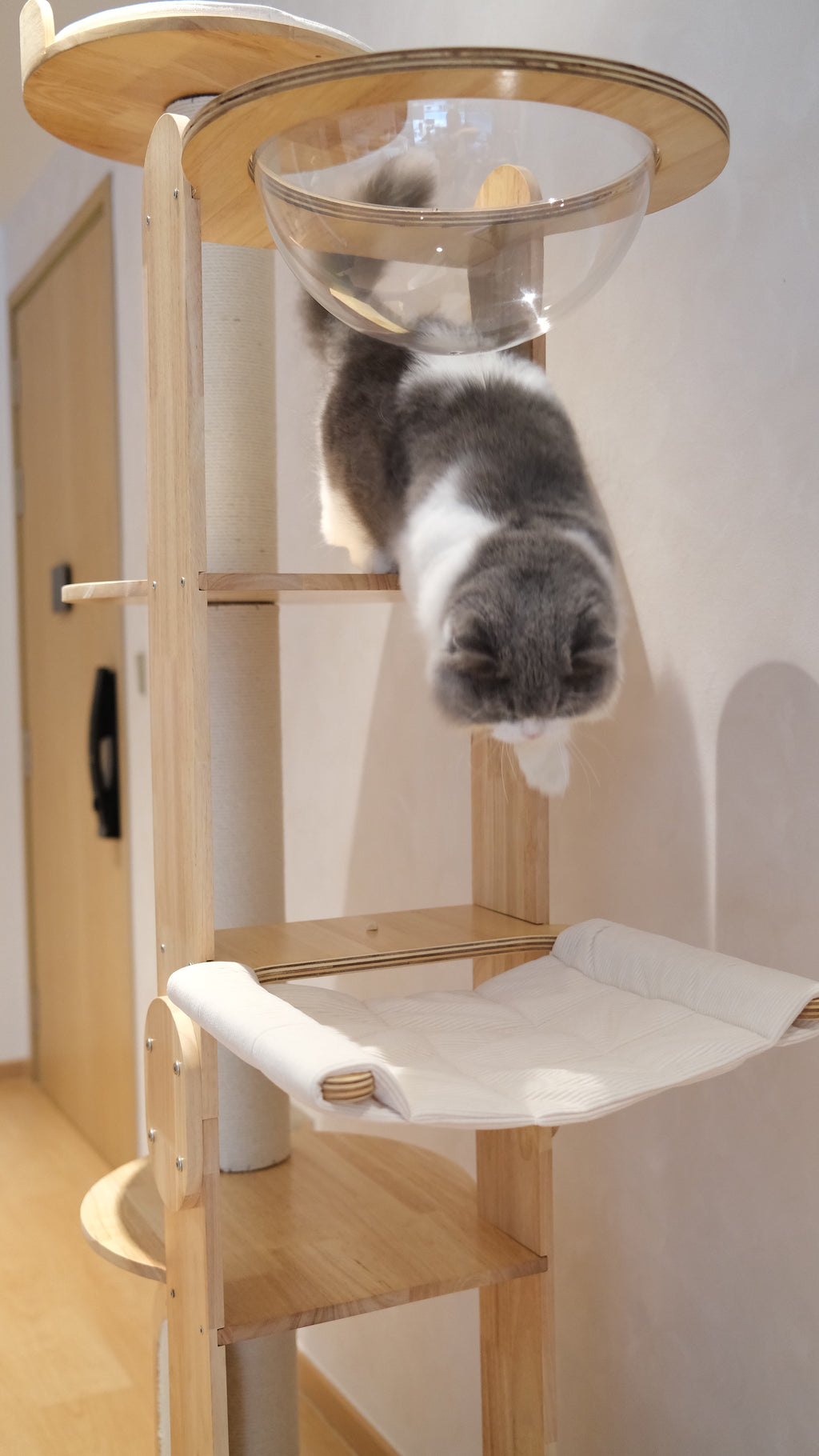Purrch Club - Loft