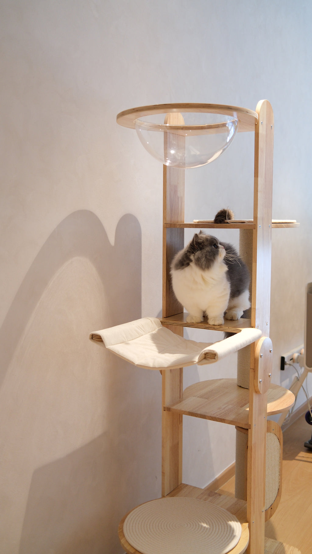 Purrch Club - Loft