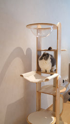 Purrch Club - Loft