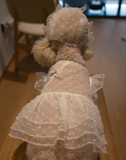 Starlight Tulle Collection