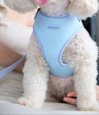 Lilac Sky Harness and Leash