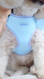 Lilac Sky Harness and Leash