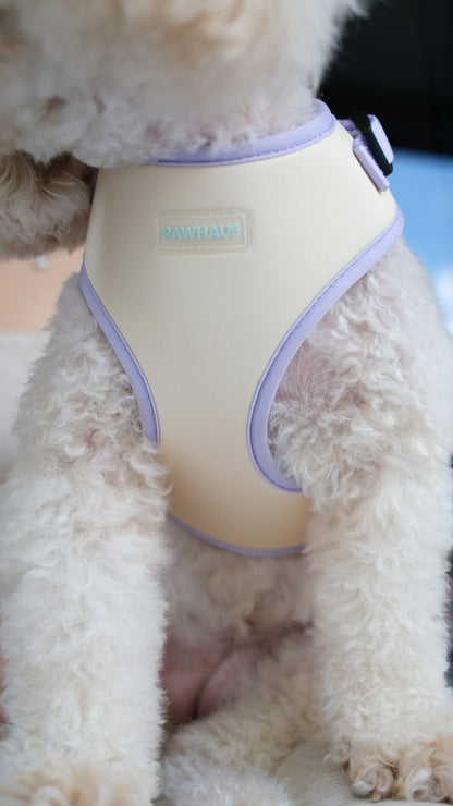 Spring Meadow Harness & Leash Set