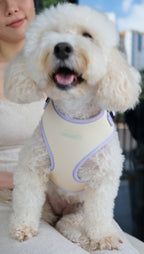 Spring Meadow Harness & Leash Set