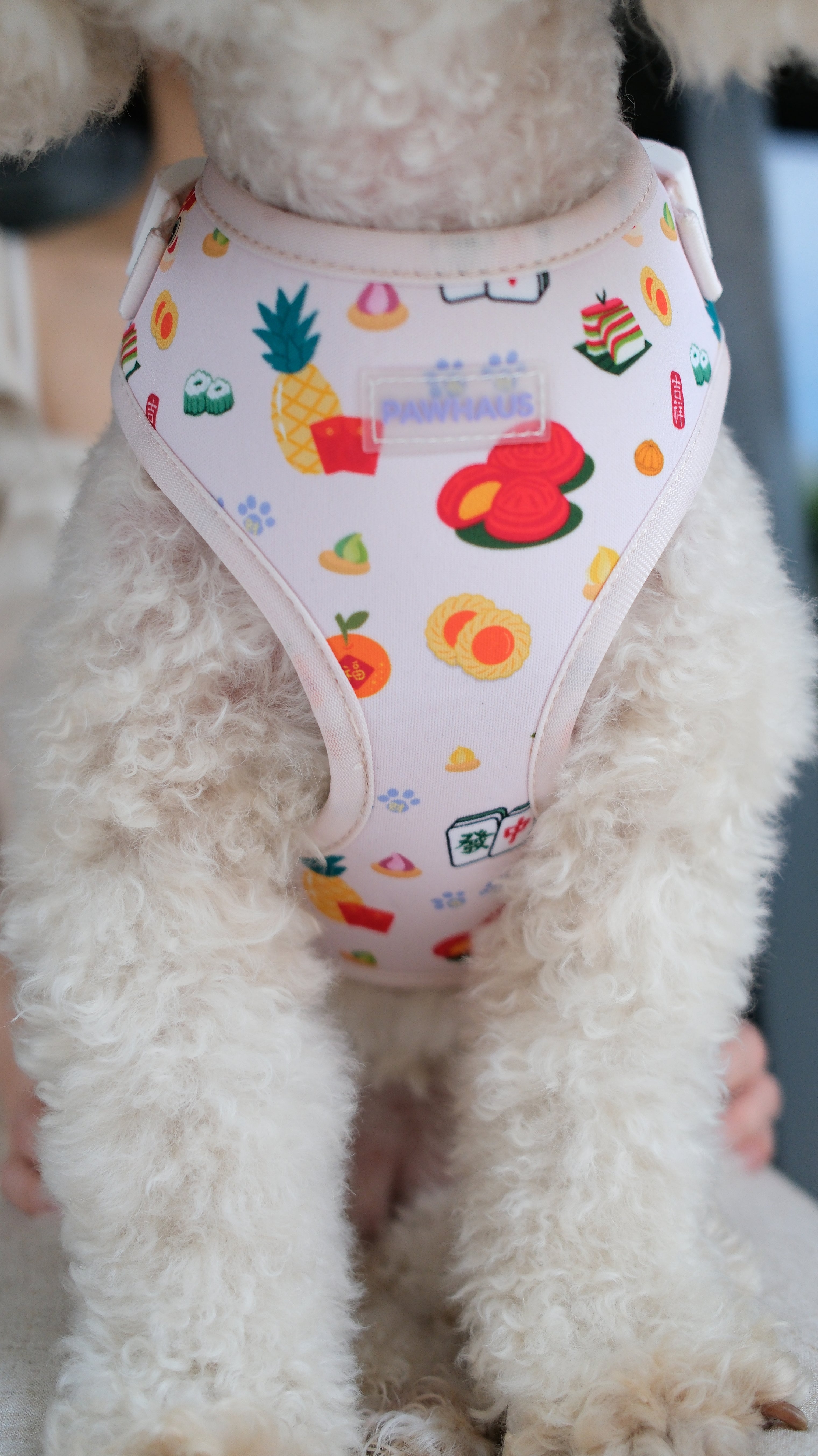 🍊 PawHaus CNY Lucky Treats Harness & Leash Set