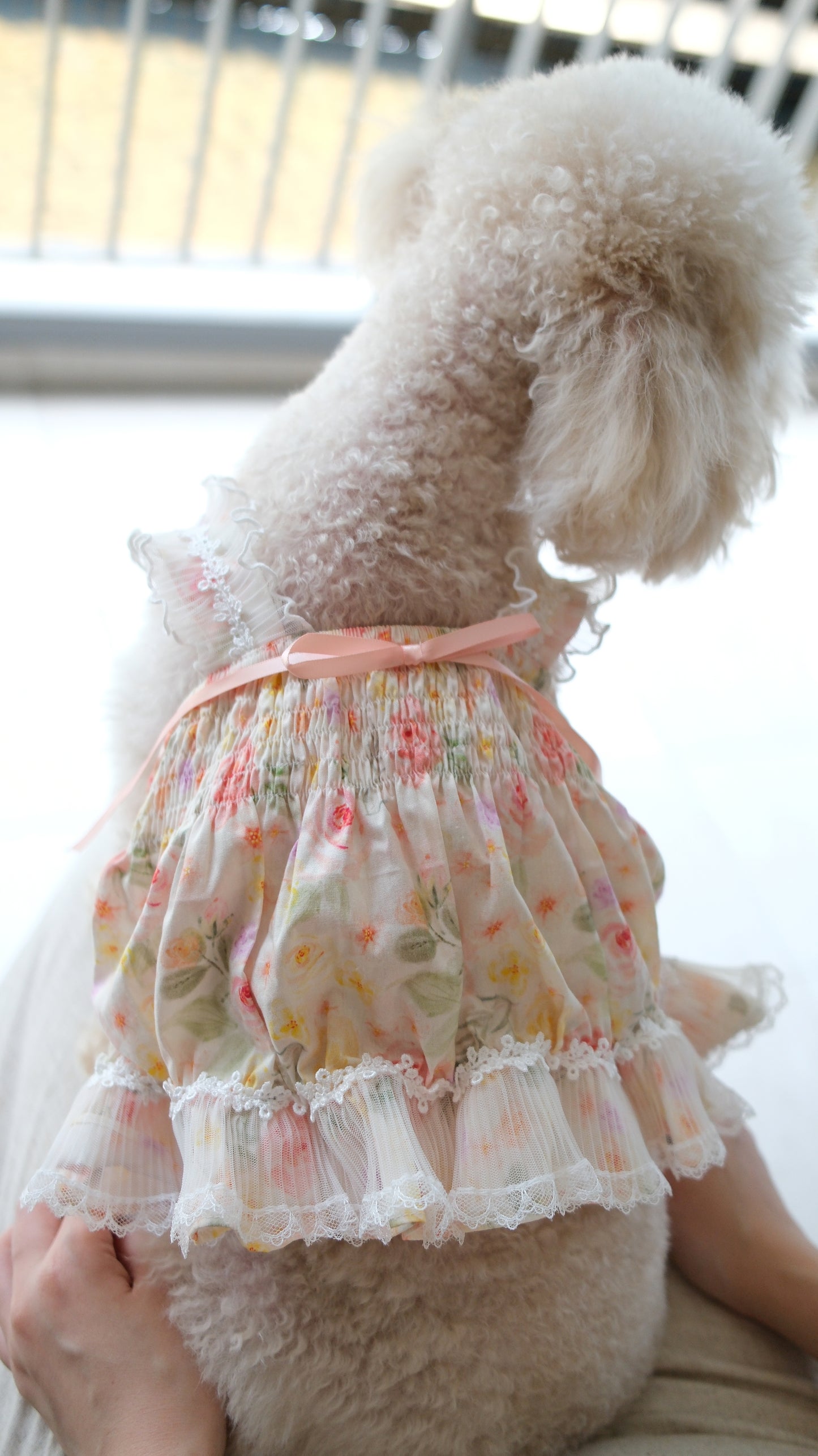 Ethereal Garden Collection