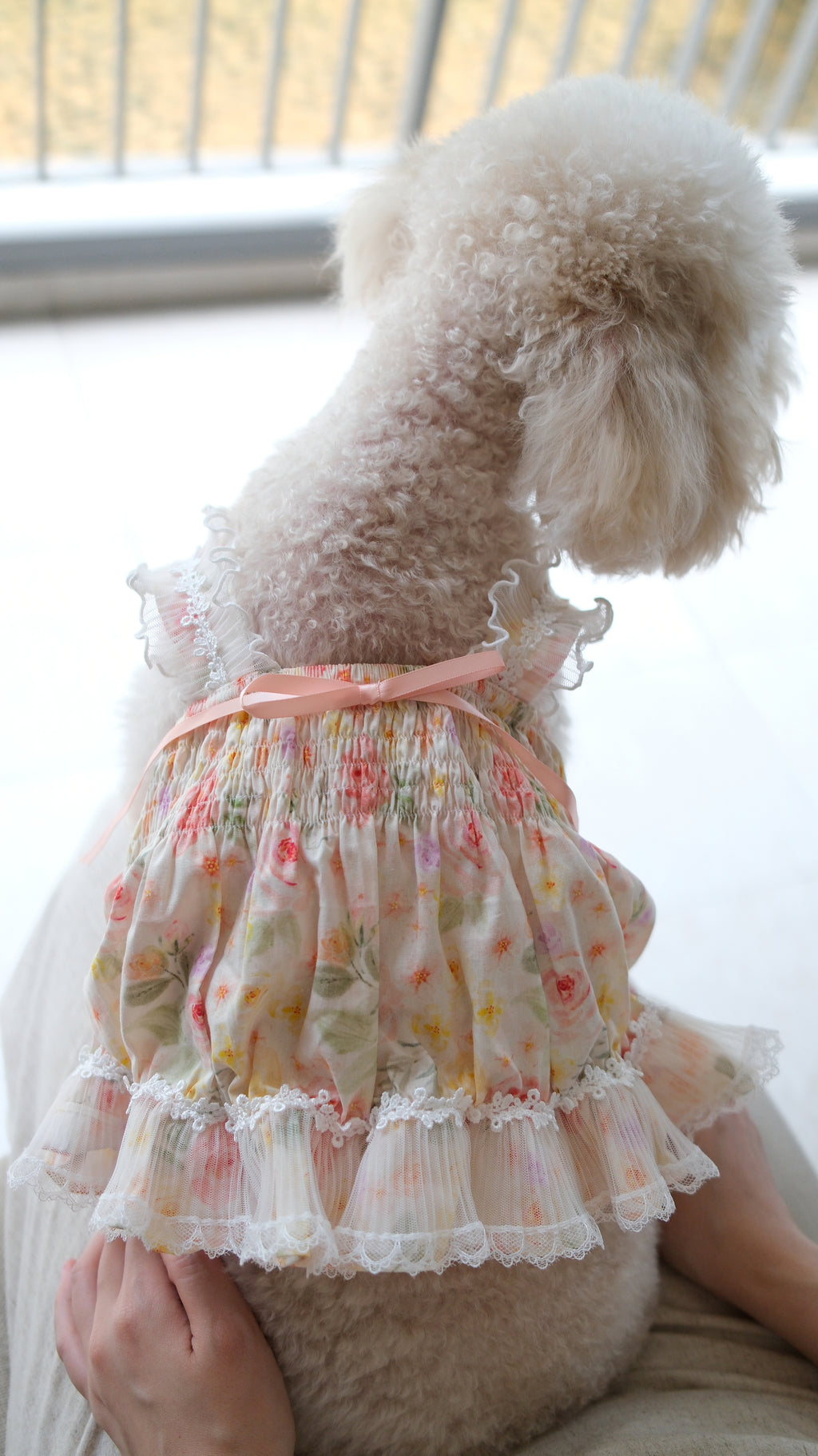 Ethereal Garden Collection