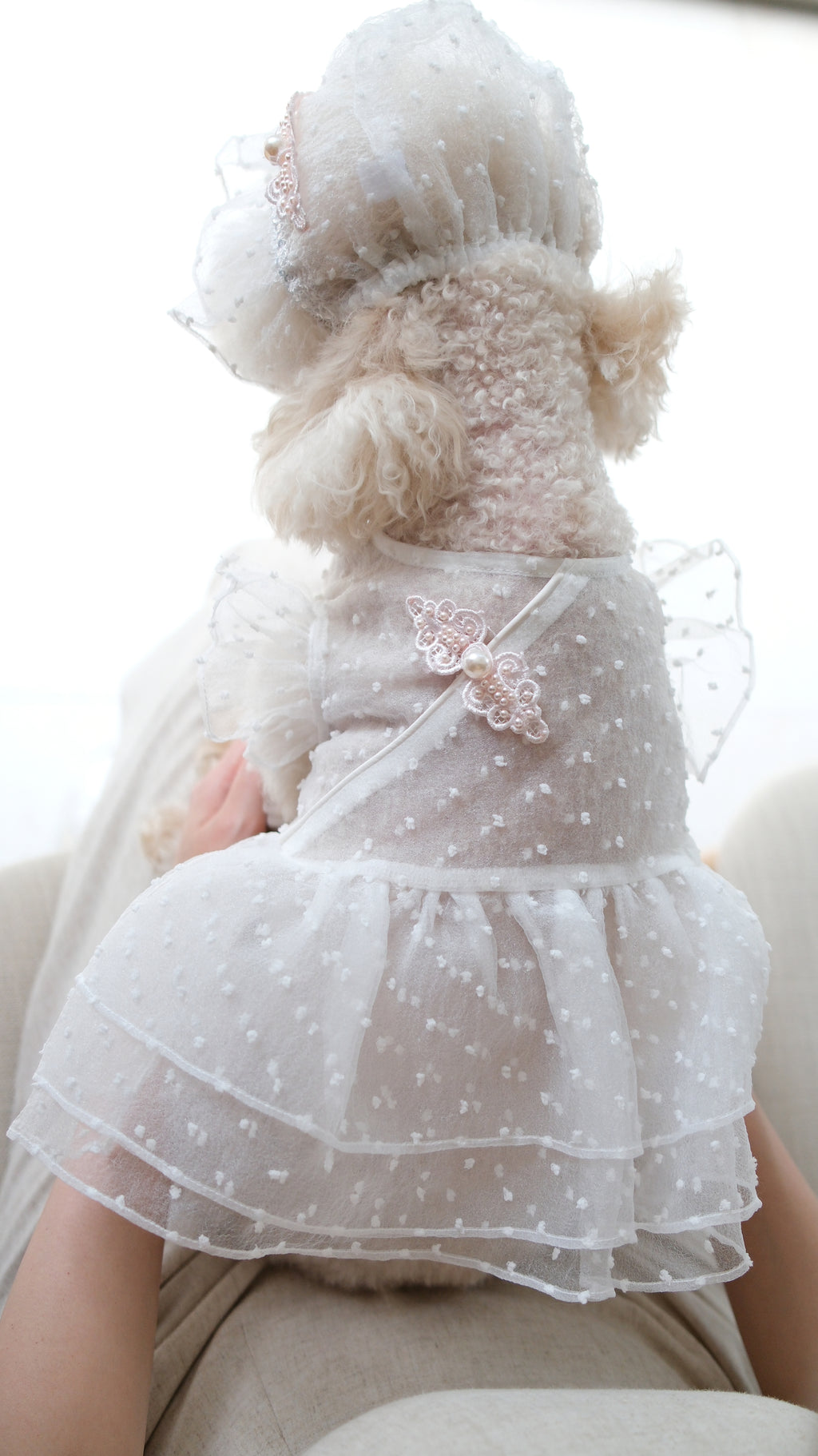 Starlight Tulle Collection