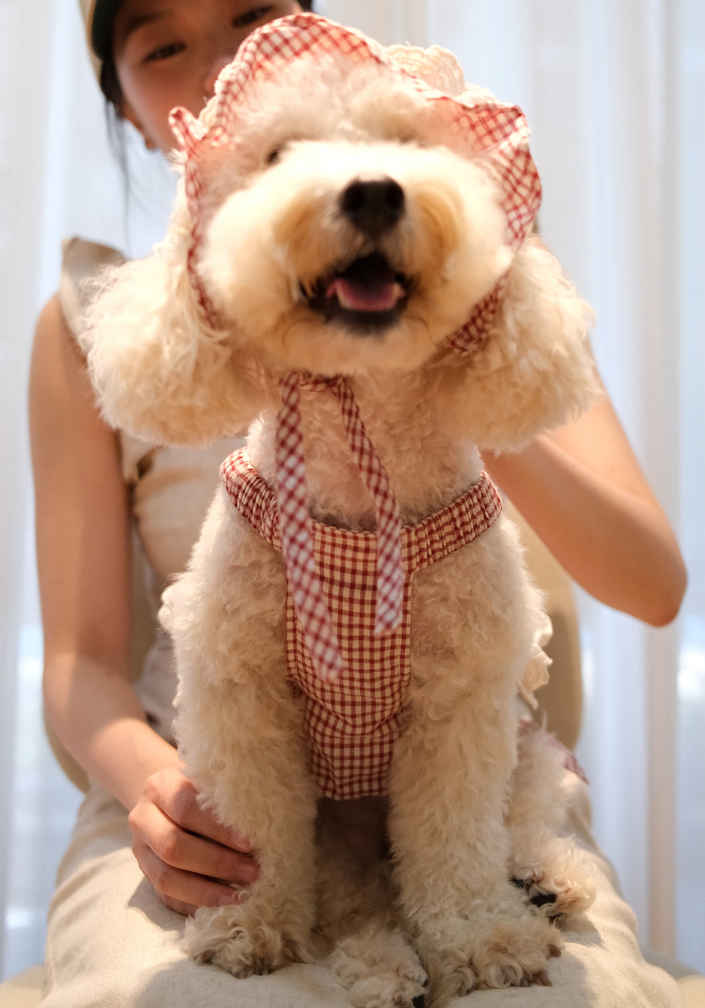The Gingham Belle in Red