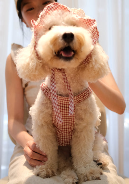 The Gingham Belle in Red
