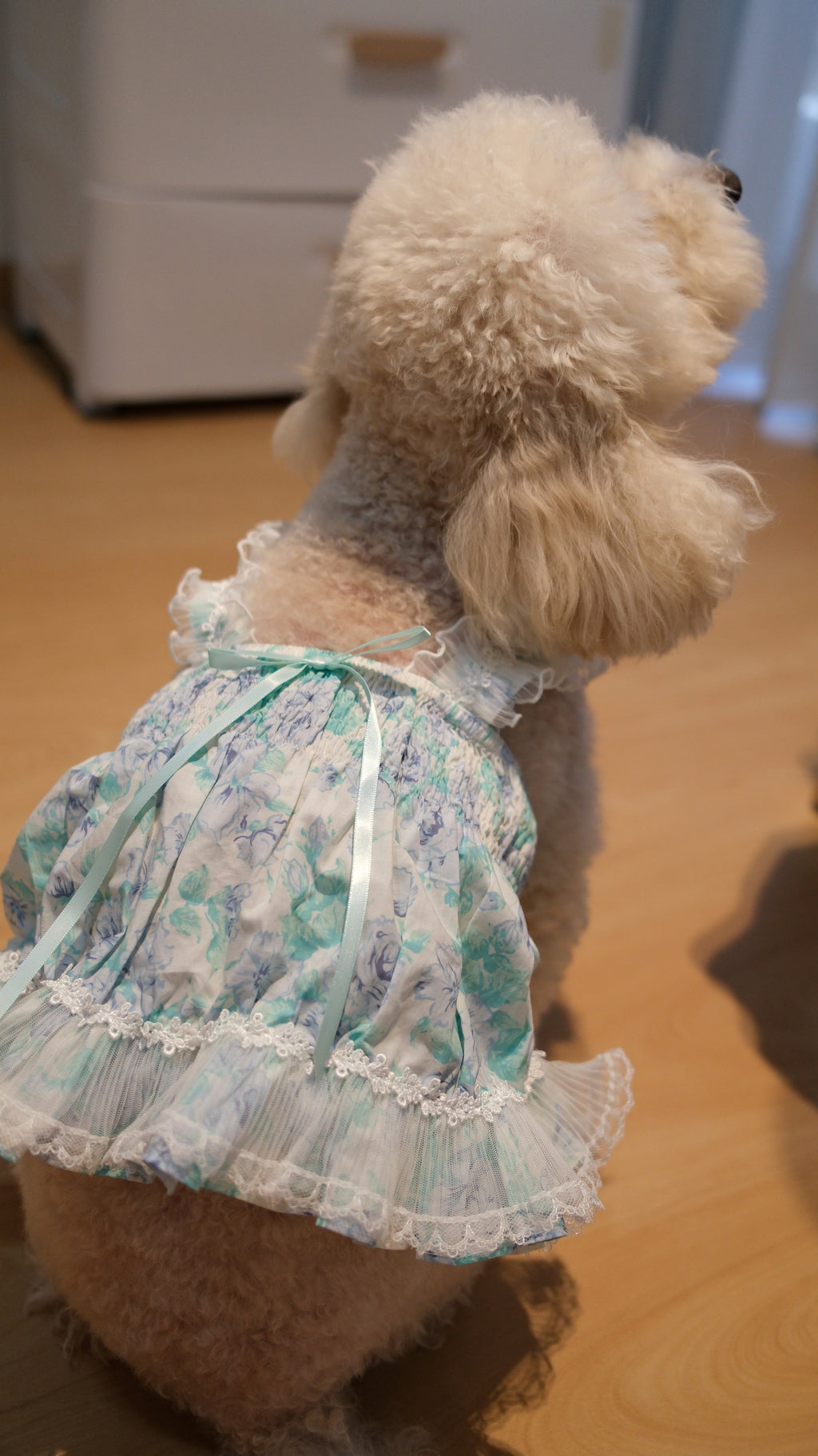 Ethereal Garden Collection