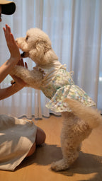 Whispering Blooms Collection