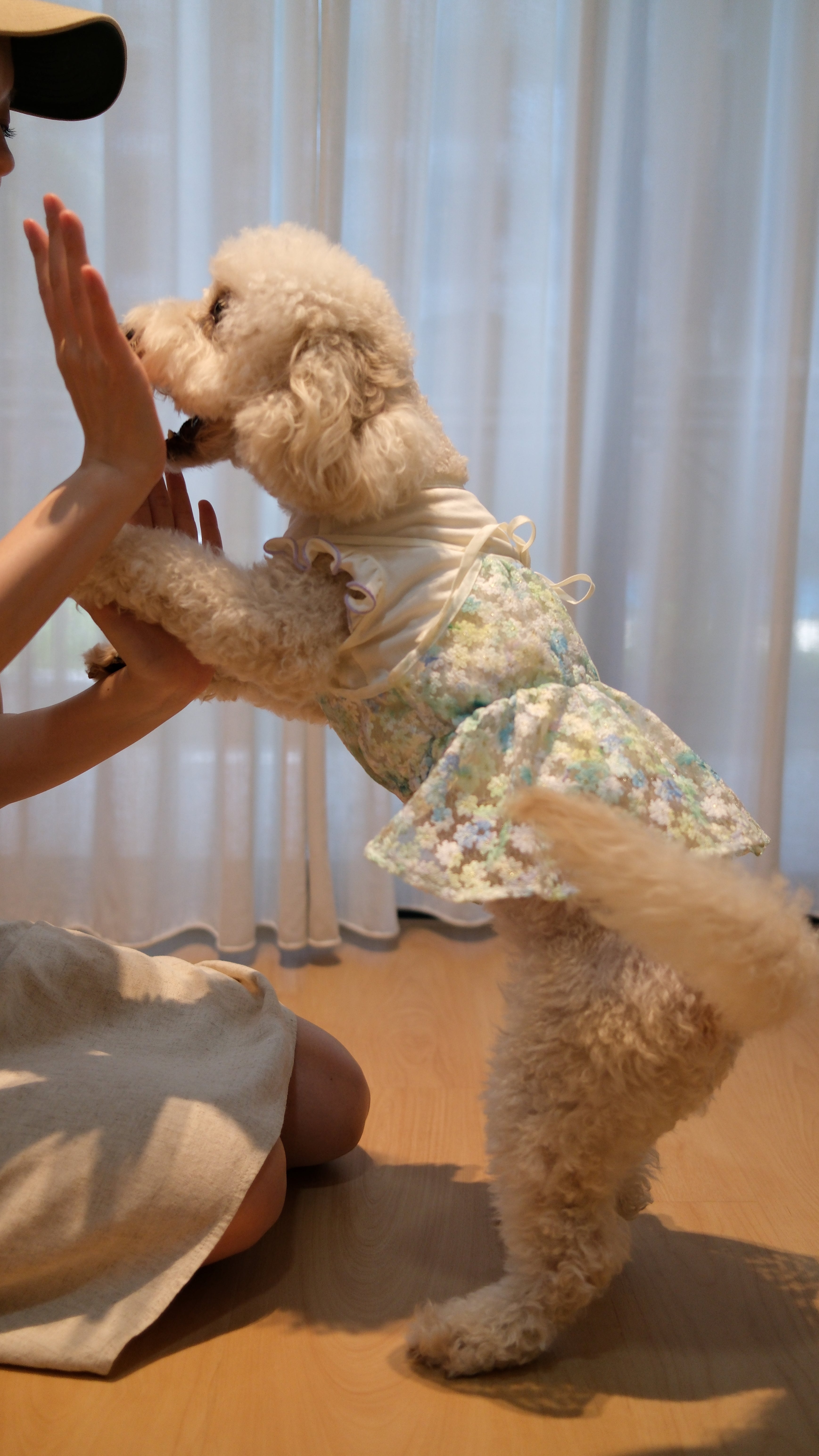 Whispering Blooms Collection