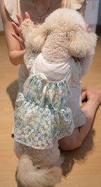 Whispering Blooms Collection