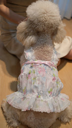 Ethereal Garden Collection