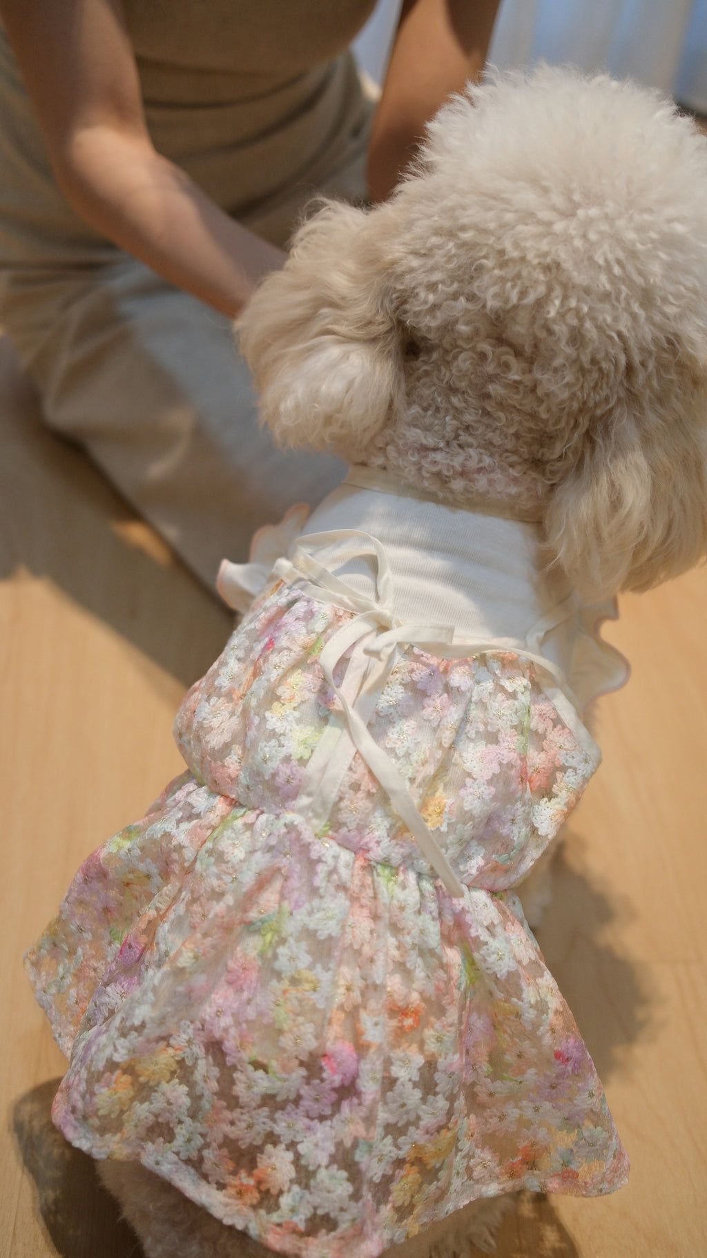 Whispering Blooms Collection