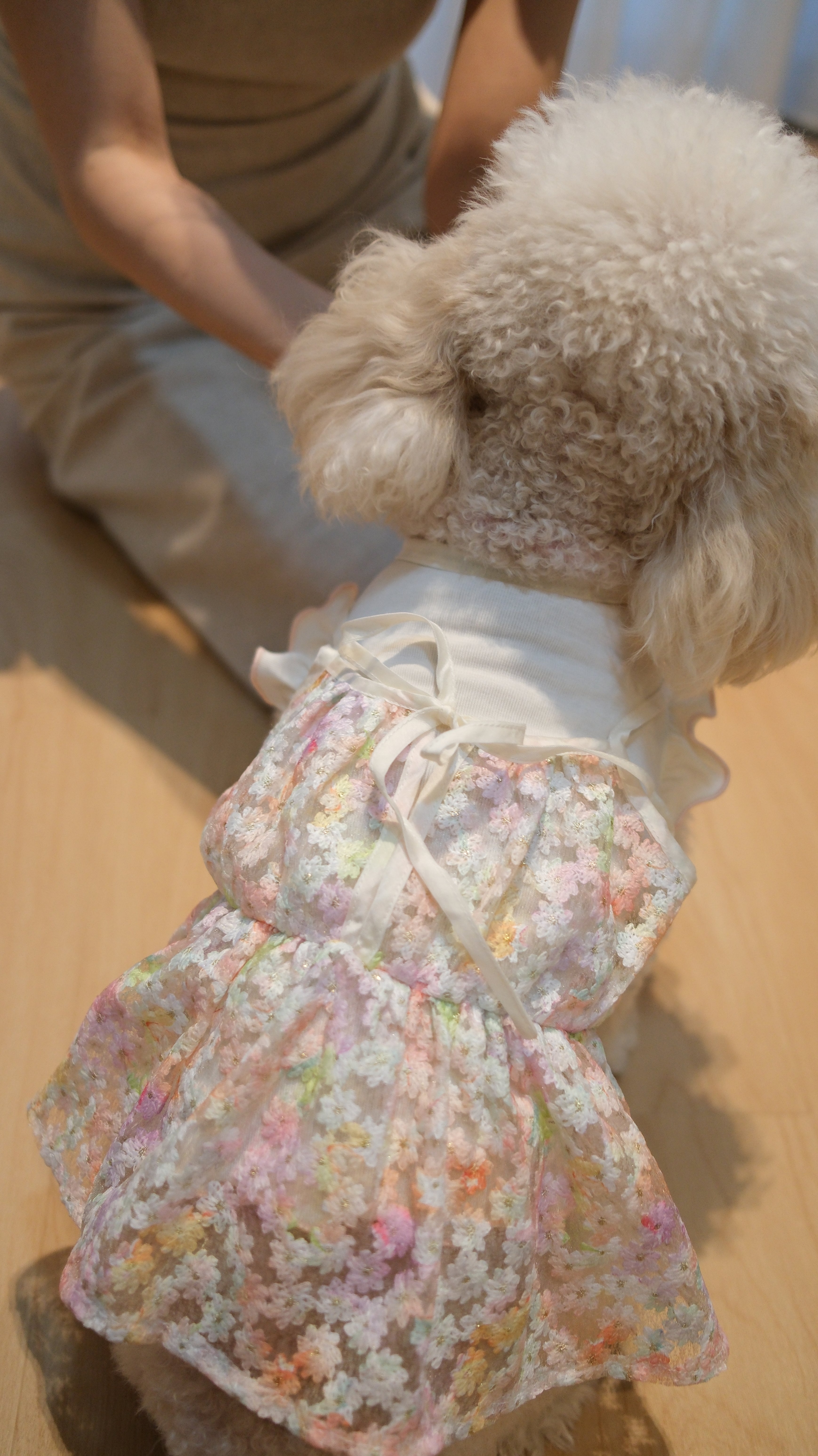 Whispering Blooms Collection