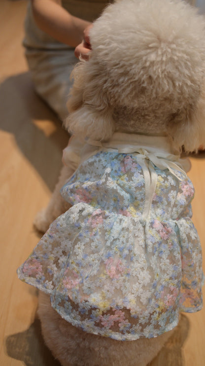 Whispering Blooms Collection