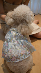 Whispering Blooms Collection