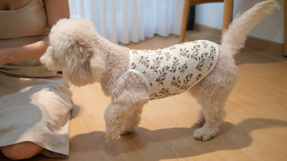 CloudSoft Loungewear