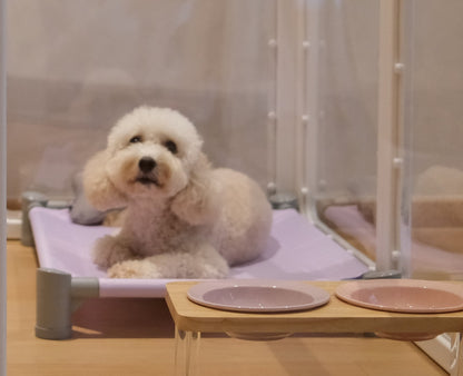 Premium Acrylic Pet Playpen