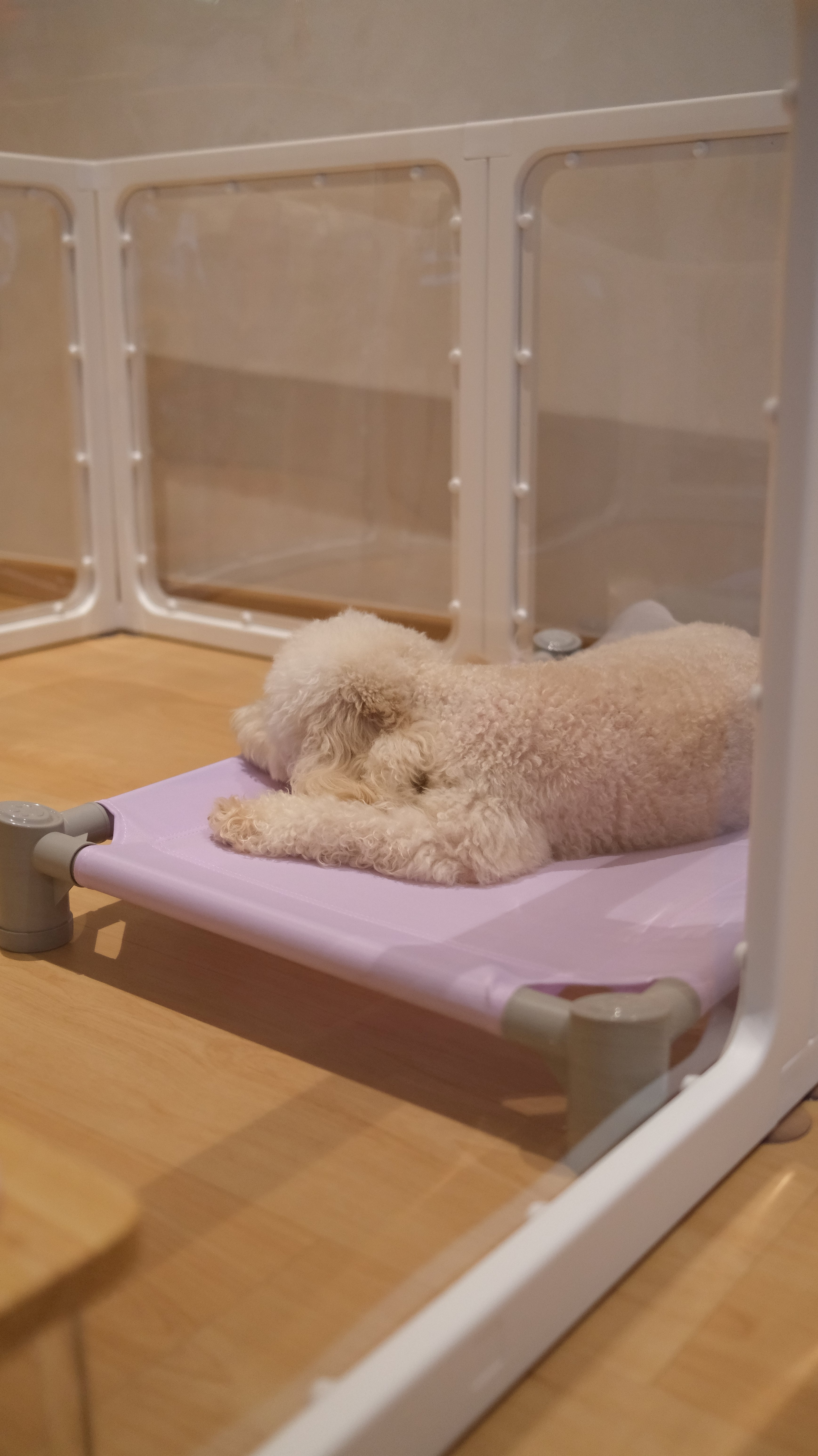 Premium White Acrylic Pet Playpen