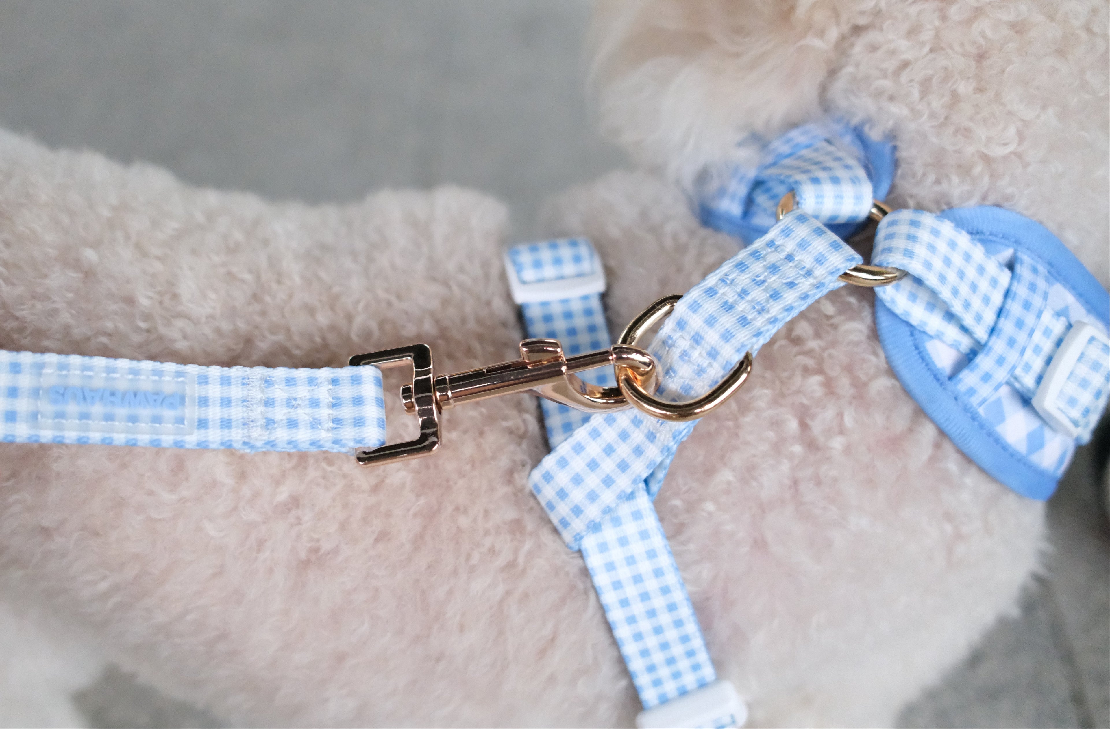 Blue Gingham Comfort Harness & Leash Set