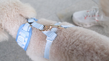 Blue Gingham Comfort Harness & Leash Set