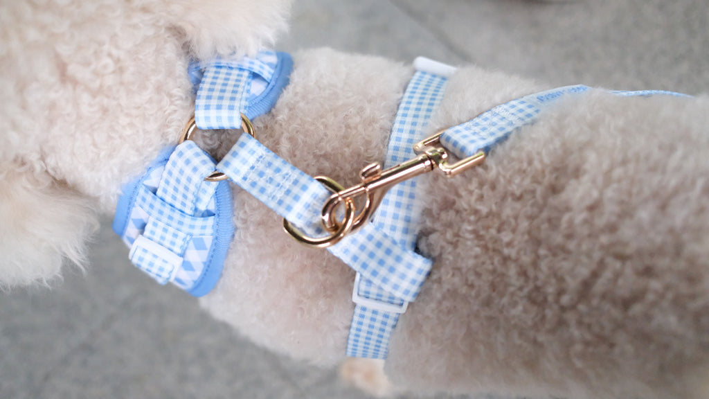 Blue Gingham Comfort Harness & Leash Set