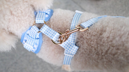 Blue Gingham Comfort Harness & Leash Set