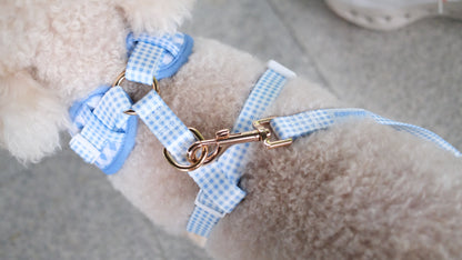 Blue Gingham Comfort Harness & Leash Set