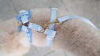Blue Gingham Comfort Harness & Leash Set