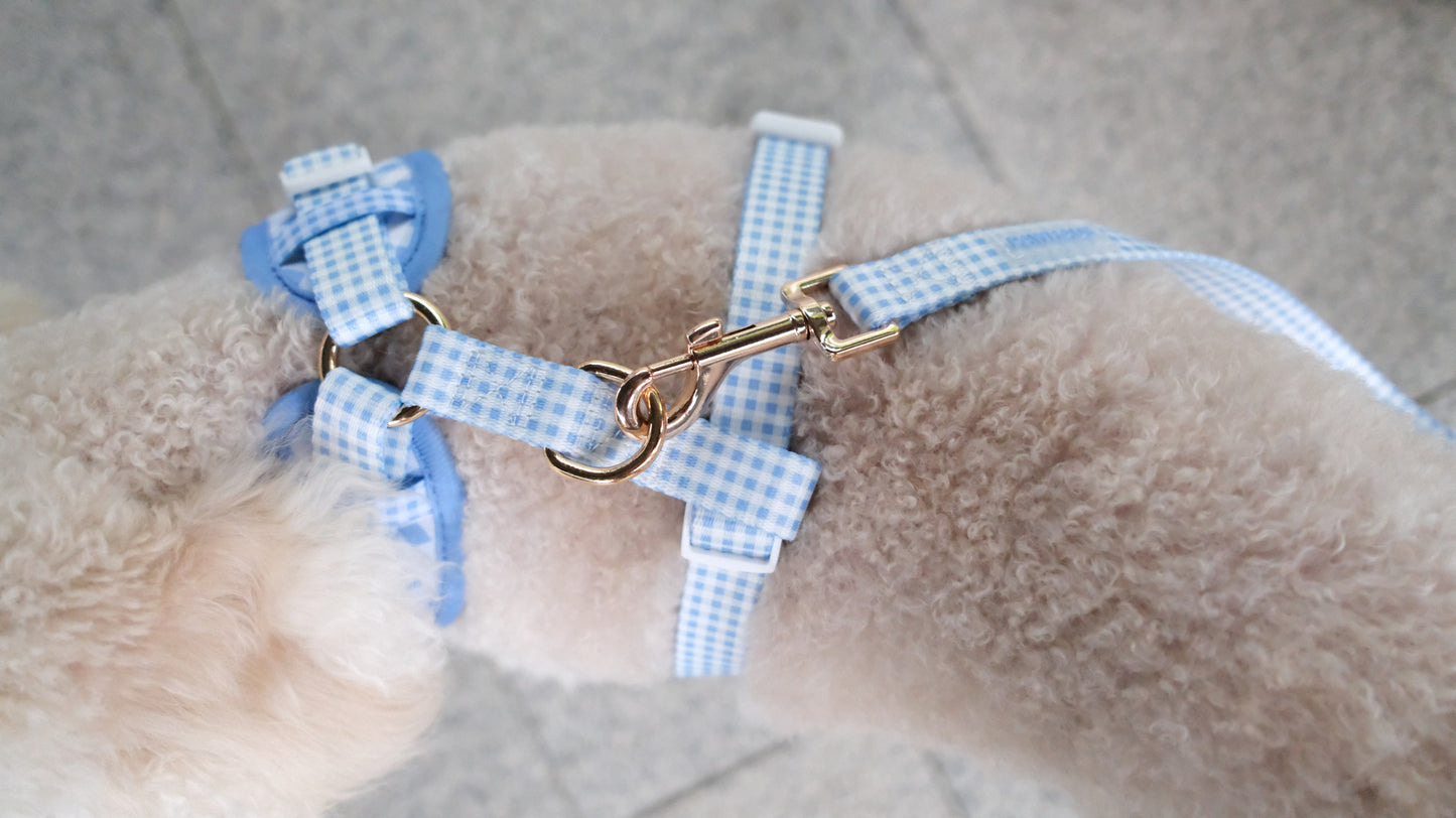 Blue Gingham Comfort Harness & Leash Set