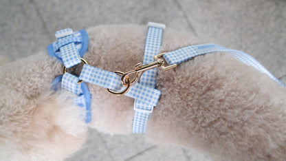 Blue Gingham Comfort Harness & Leash Set