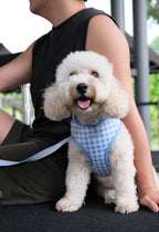 Blue Gingham Comfort Harness & Leash Set