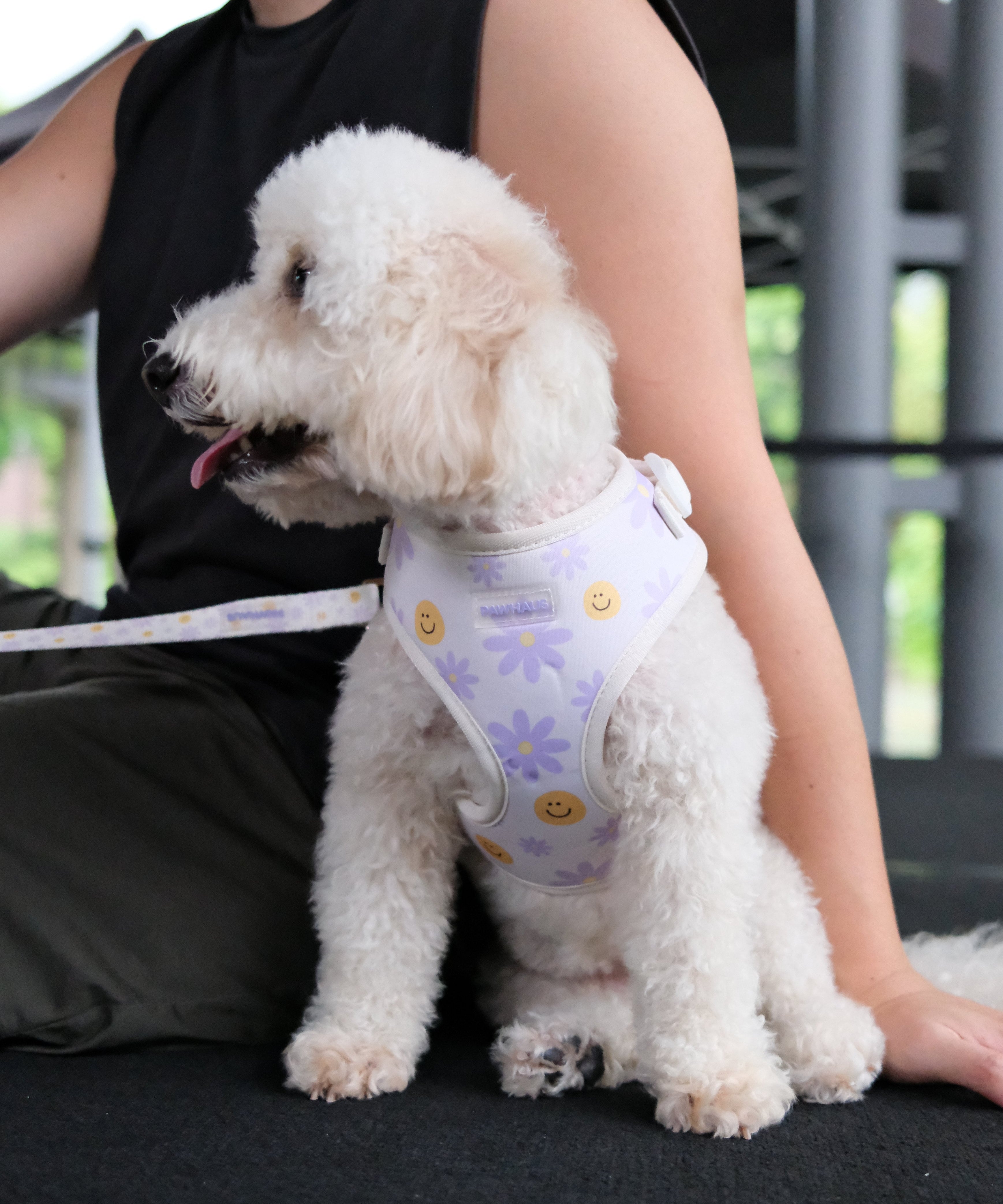 Smiley Bloom Comfort Harness & Leash Set