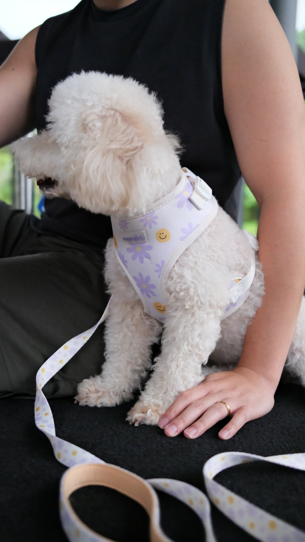 Smiley Bloom Comfort Harness & Leash Set