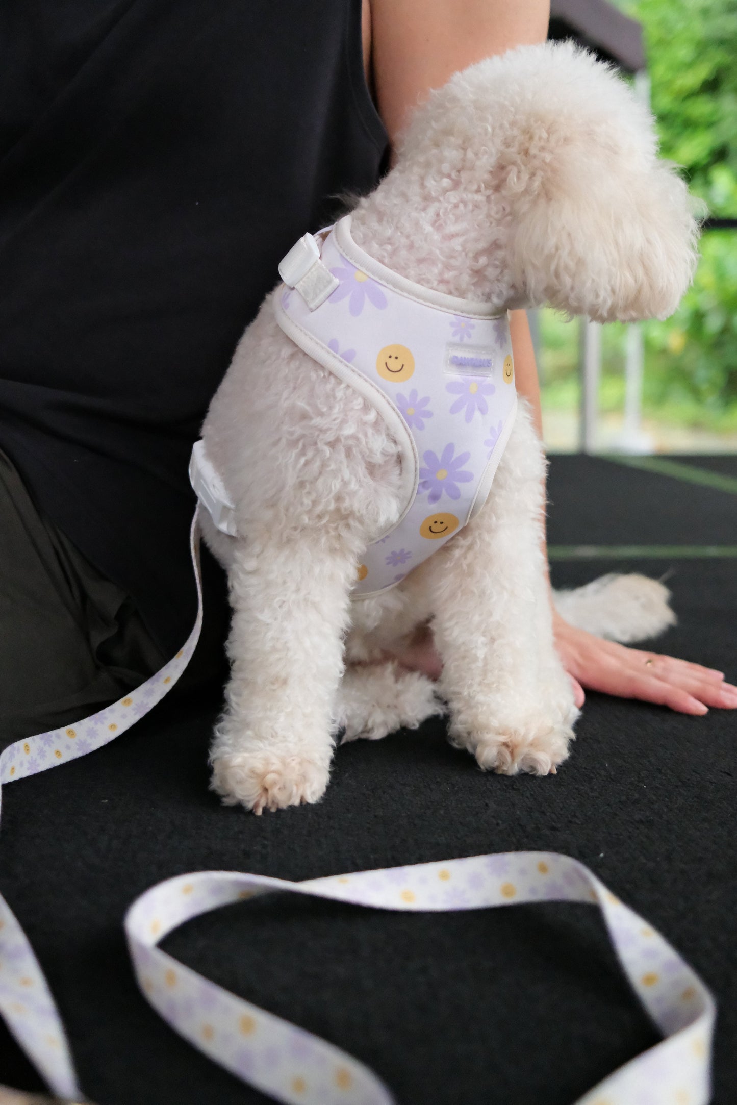 Smiley Bloom Comfort Harness & Leash Set