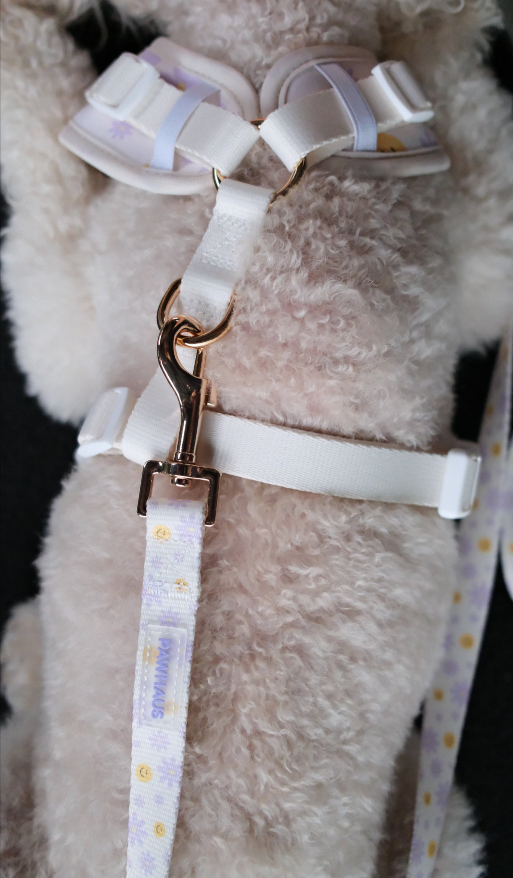 Smiley Bloom Comfort Harness & Leash Set