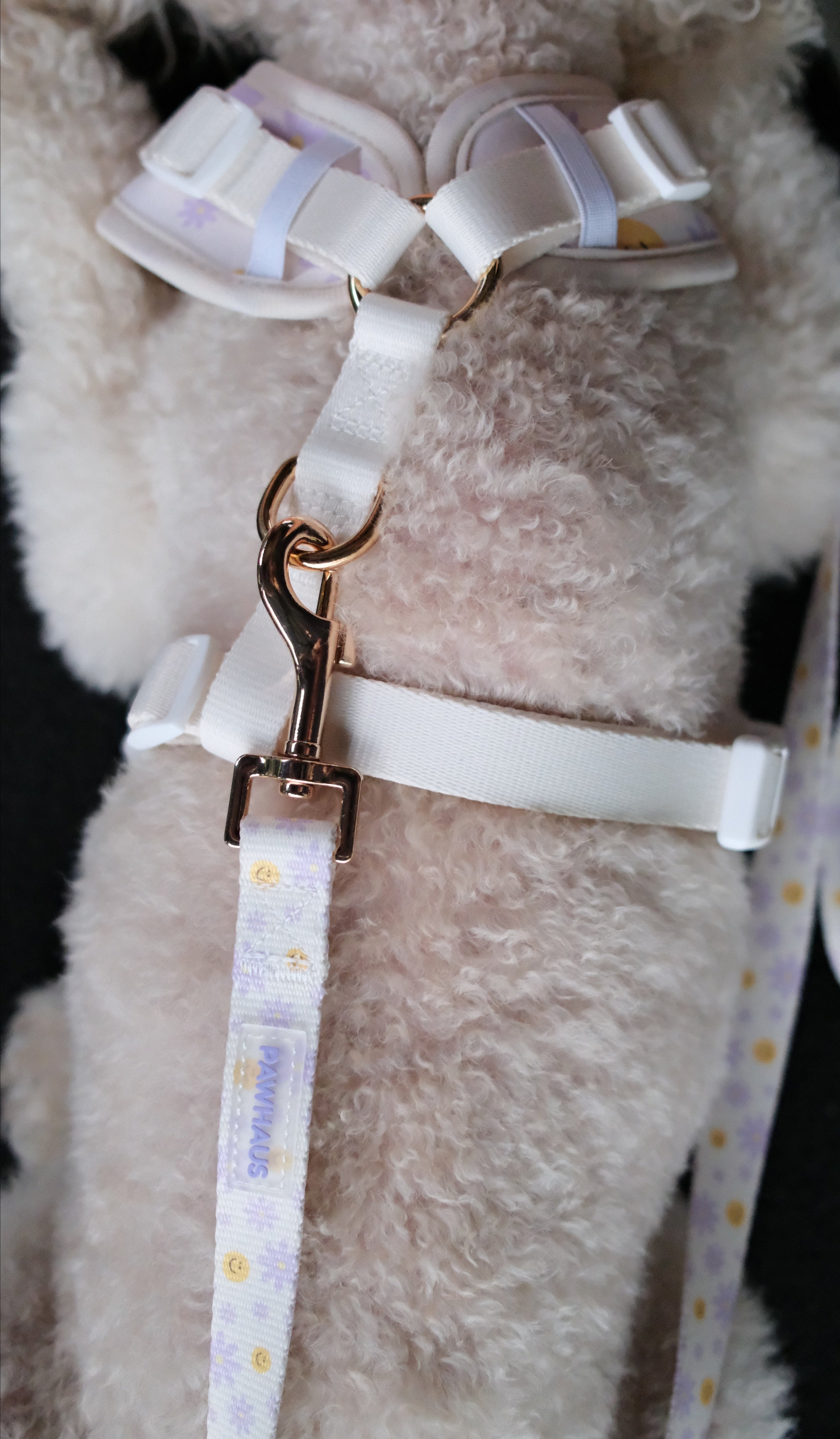 Smiley Bloom Comfort Harness & Leash Set