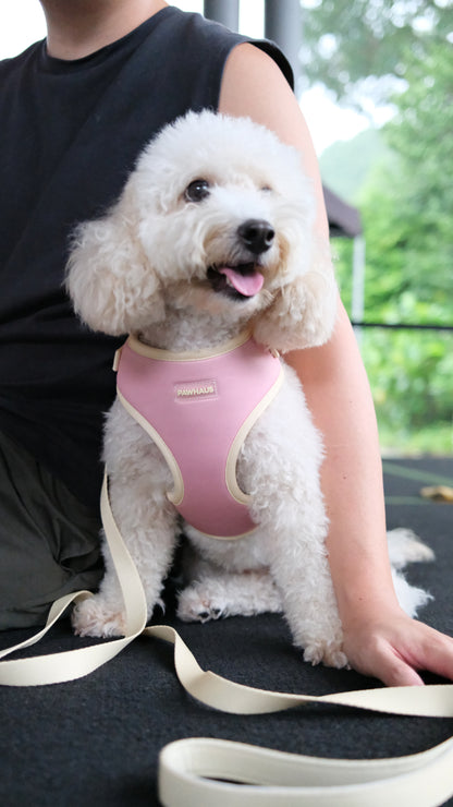 Sunset Sorbet Comfort Harness & Leash Set